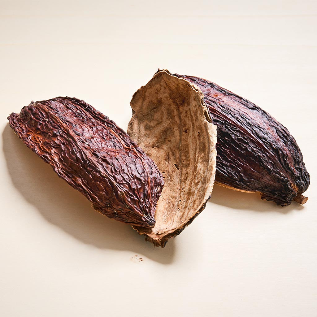 Drei braune getrocknete Halbschalen der Kakaofrucht