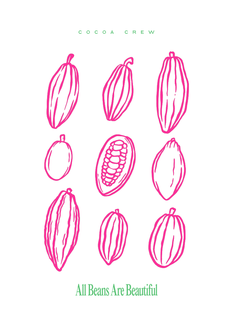 unterschiedliche Kakaofrüchte in pink auf weißem Untergrund und in grüner Schrift steht "Cocoa Drew" und "All beans re beautiful" auf der Postkarte
